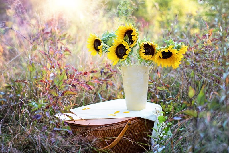 Container Garden