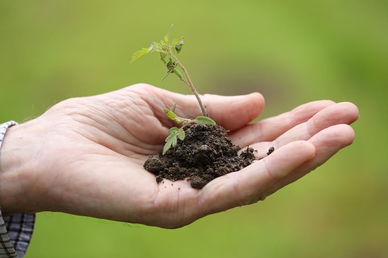 Gardening Image